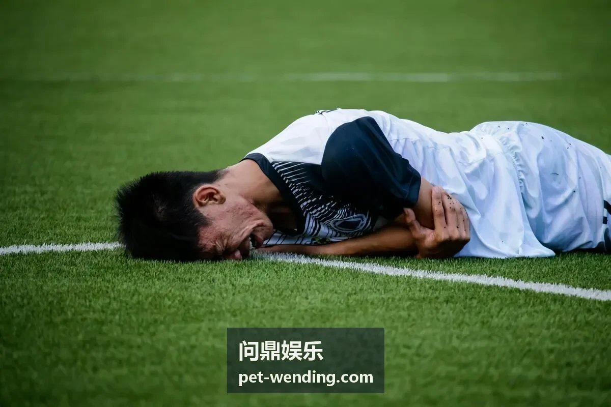 问鼎娱乐热门赛事频道封面